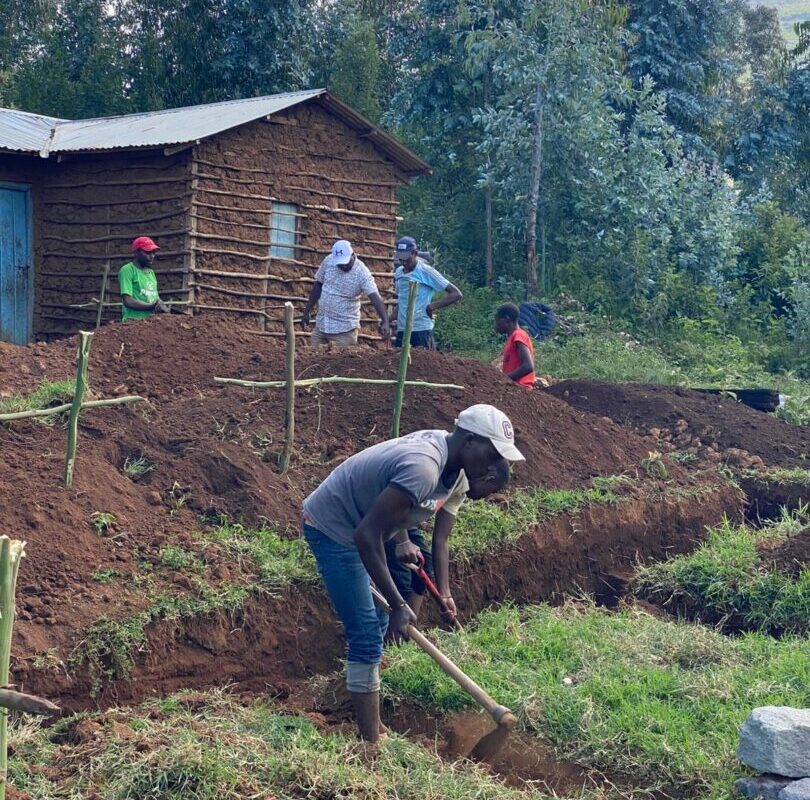 construction(5)